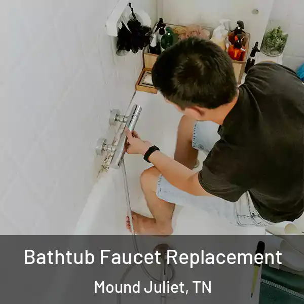  Bathtub Faucet Replacement Mound Juliet, TN
