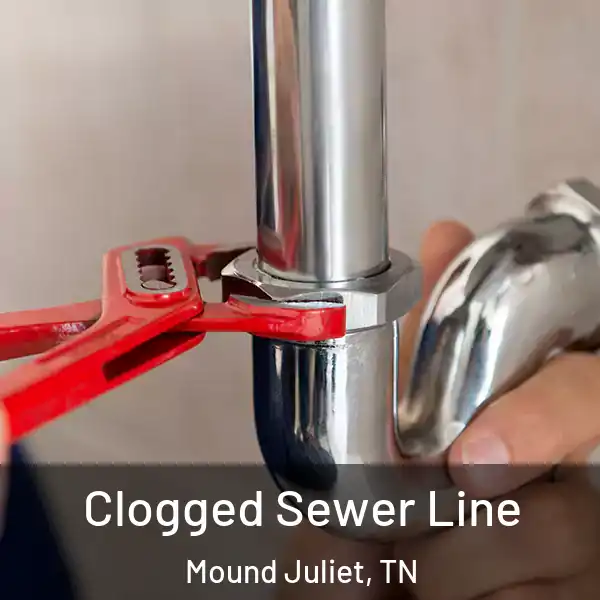  Clogged Sewer Line Mound Juliet, TN