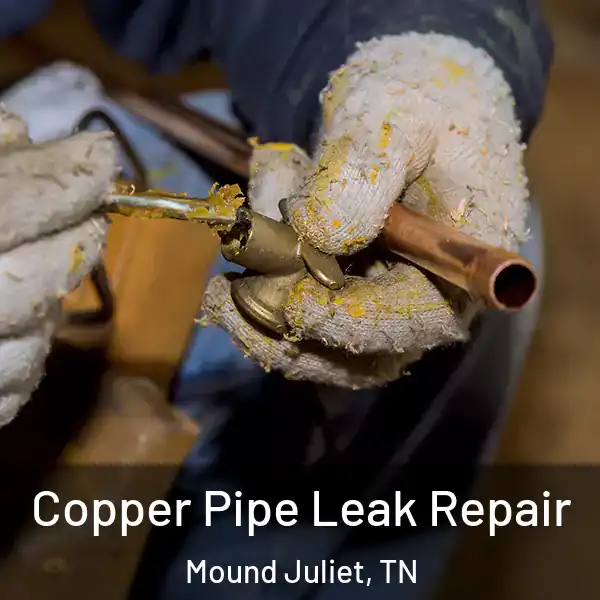  Copper Pipe Leak Repair Mound Juliet, TN