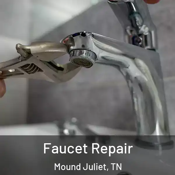  Faucet Repair Mound Juliet, TN