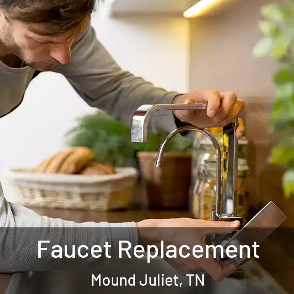  Faucet Replacement Mound Juliet, TN