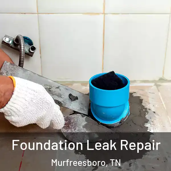  Foundation Leak Repair Murfreesboro, TN