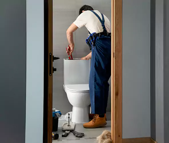 Professional Plumbers for Toilet Bowl Replacement in Mound Juliet, TN: Schedule Affordable Toilet Replacement Services With Us
