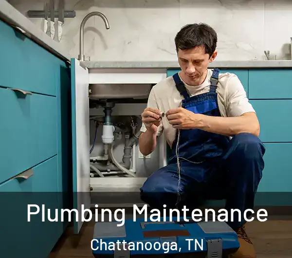  Plumbing Maintenance Chattanooga, TN