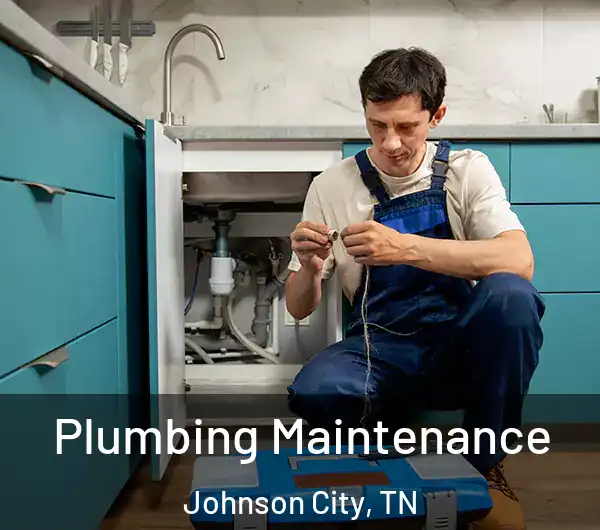  Plumbing Maintenance Johnson City, TN
