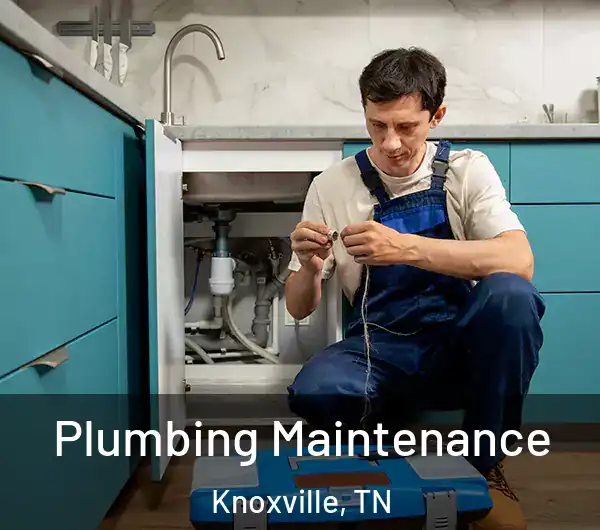  Plumbing Maintenance Knoxville, TN