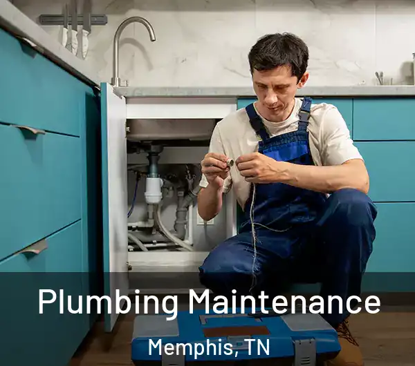  Plumbing Maintenance Memphis, TN
