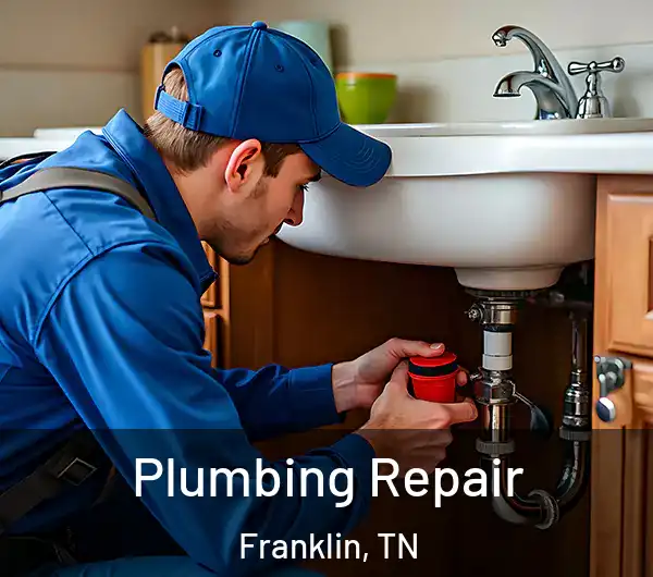  Plumbing Repair Franklin, TN