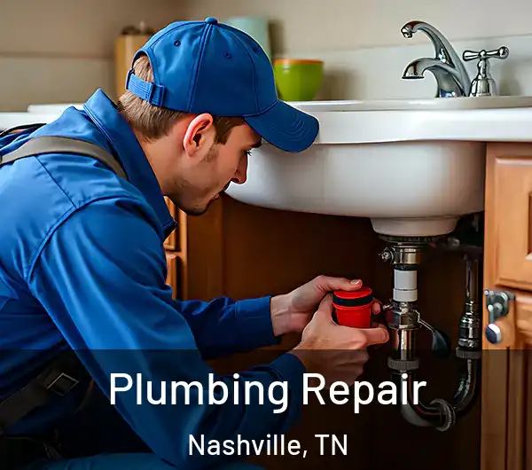  Plumbing Repair Nashville, TN