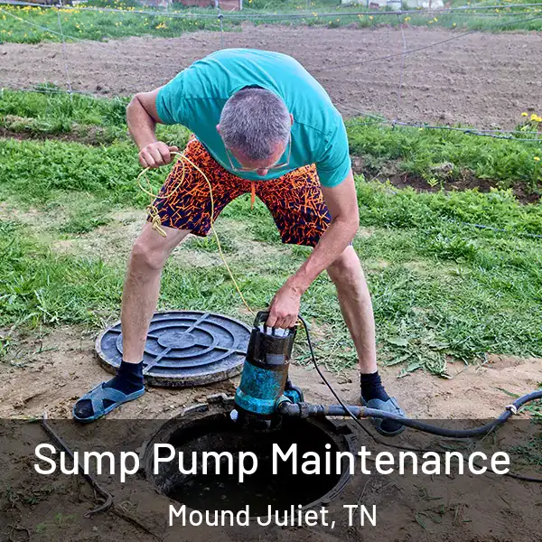  Sump Pump Maintenance Mound Juliet, TN