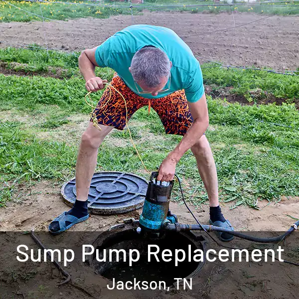  Sump Pump Replacement Jackson, TN
