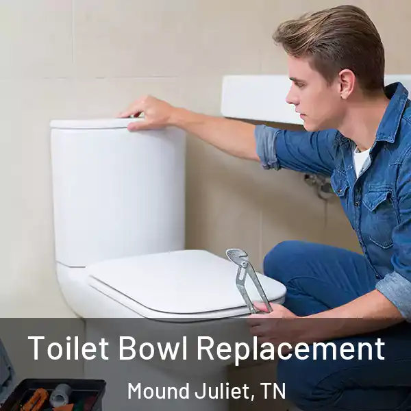  Toilet Bowl Replacement Mound Juliet, TN