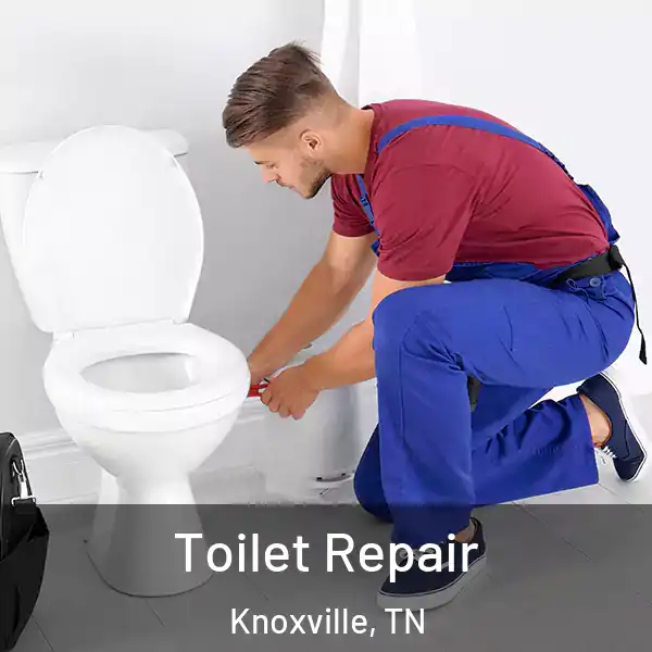  Toilet Repair Knoxville, TN