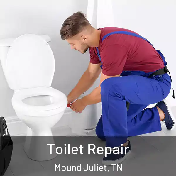  Toilet Repair Mound Juliet, TN