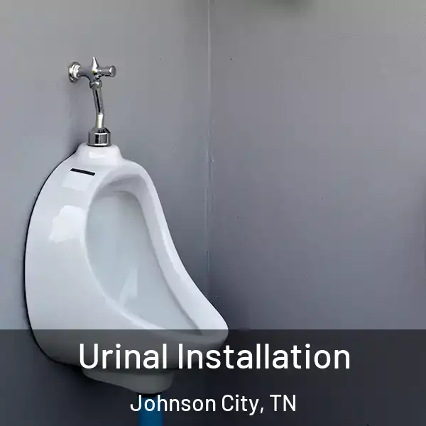  Urinal Installation Johnson City, TN