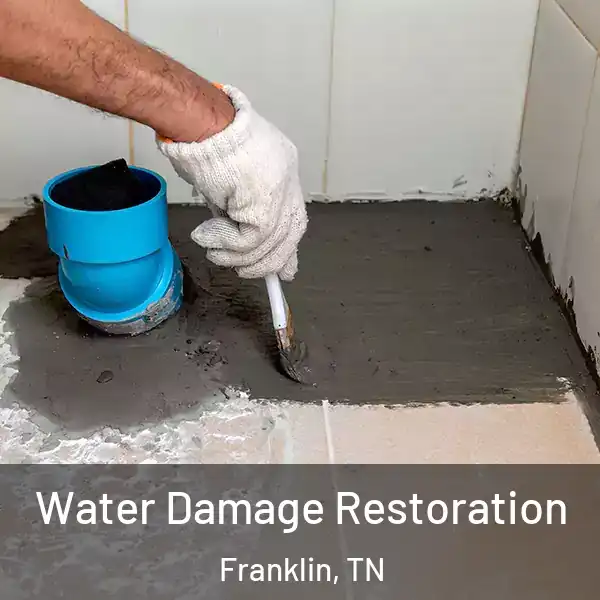  Water Damage Restoration Franklin, TN
