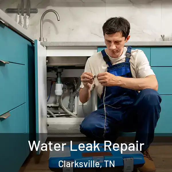  Water Leak Repair Clarksville, TN
