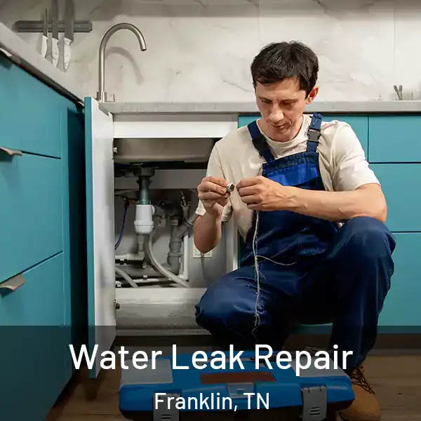  Water Leak Repair Franklin, TN